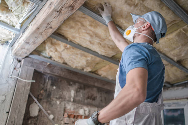 Best Eco-Friendly Insulation in Loomis, CA