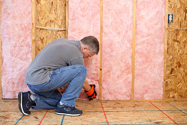 Best Specialized Insulation Services in Loomis, CA